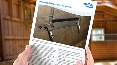 AHDB. Deep cleaning farm drinking systems.